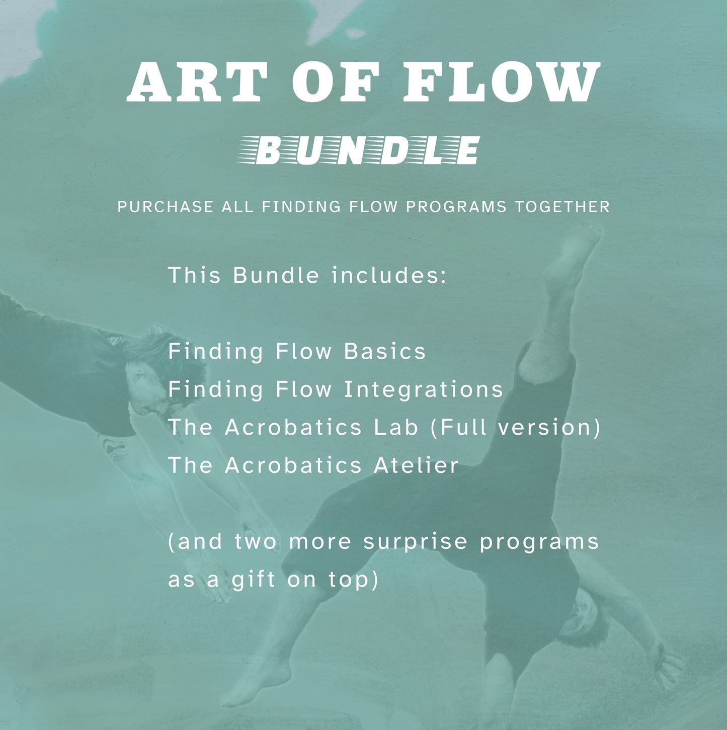 The Art of Flow Bundle