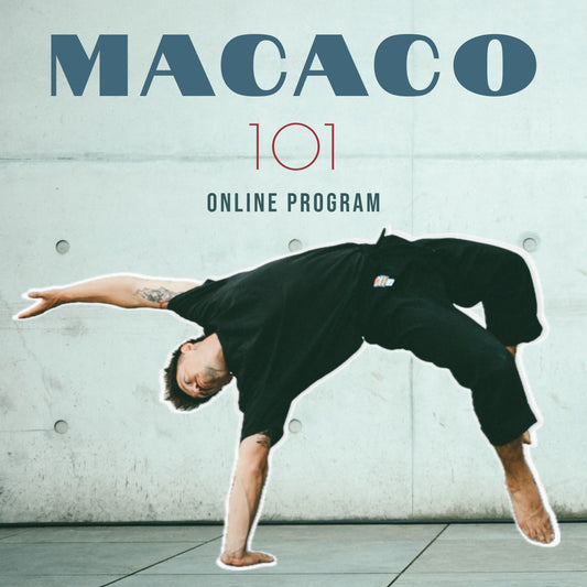 Macaco 101 Program