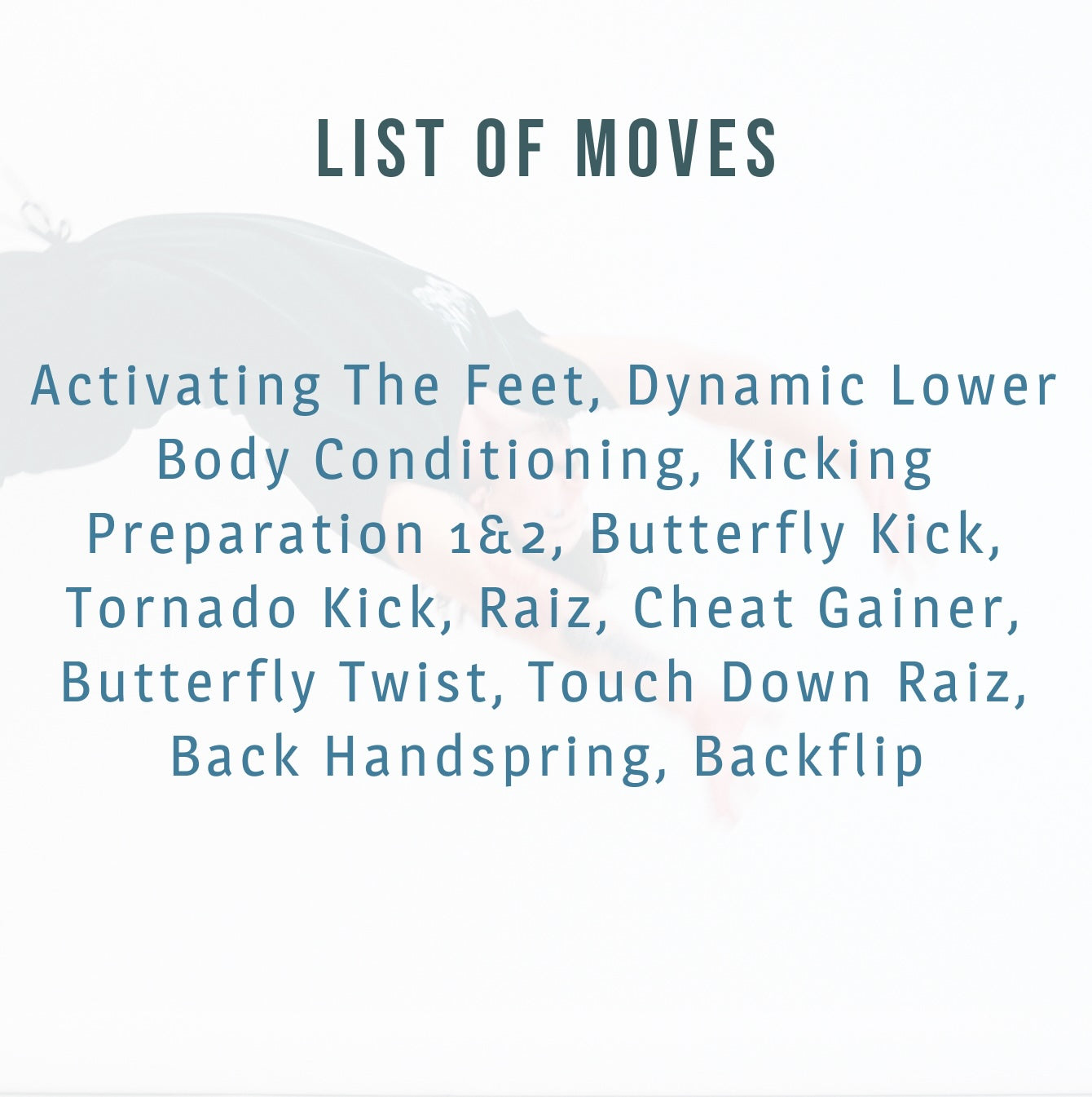 Taking Flight Program