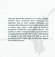 Finding Flow "The Acrobatics Lab" Program