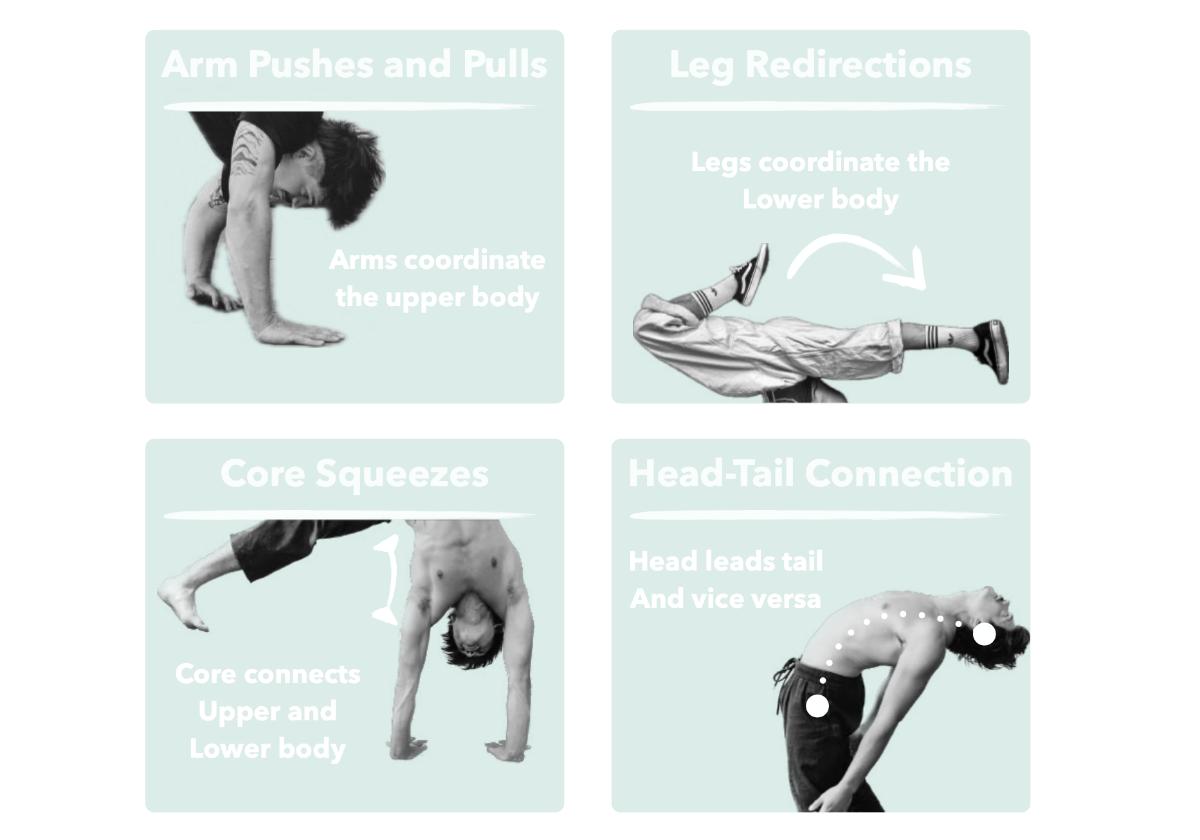 Creative acrobatic toolkit