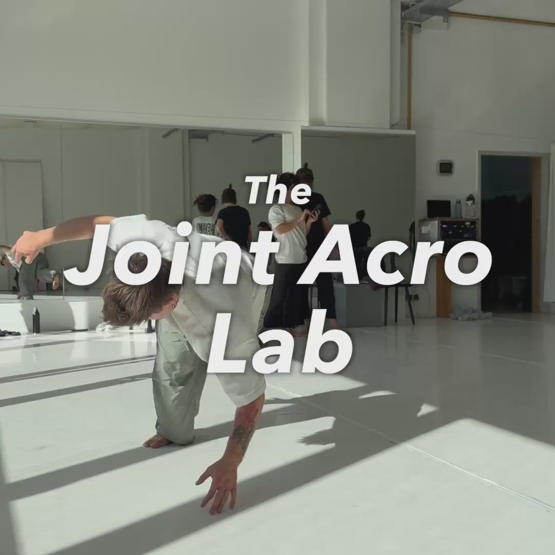 Joint Acrobatic Lab 2 Day Workshop in Milano