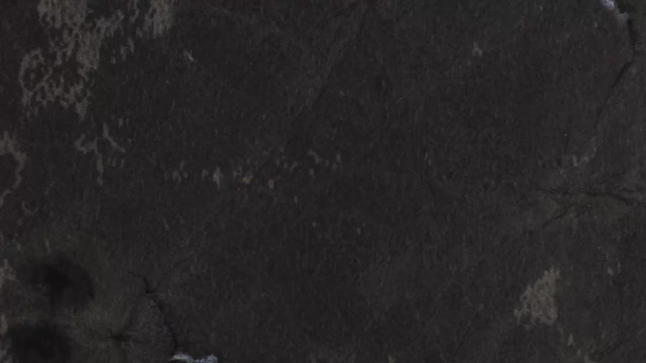 Taking Flight Program