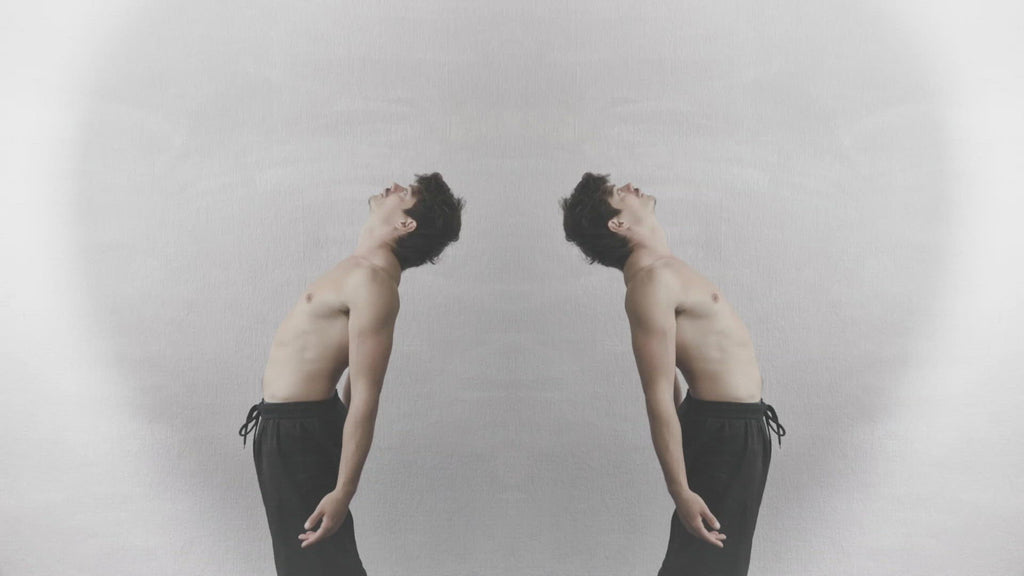 know-thy-body-supplespine-introduction